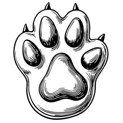 Vintage sketch of a wild animal paw print with claws  