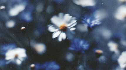 Soft blossoms in a garden exhibit gentle hues and an enchanting blurred effect capturing nature’s beauty
