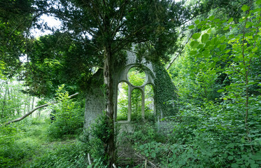 Forgotten Chapel Window in Forest – Overgrown Gothic Ruin