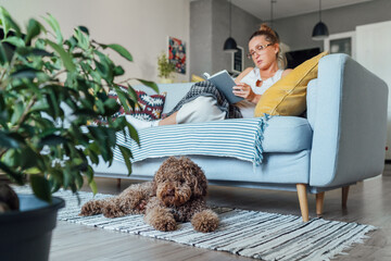 Maltipoo dog lying on carpet napping after lunch while middle aged female reading book and relaxing...