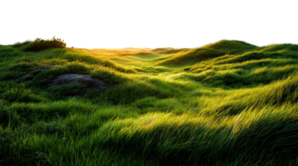 Golden sunset over lush green hills nature landscape vibrant environment serene viewpoint cut out png