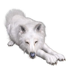 3D rendered white fantasy wolf isolated on transparent background