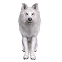 3D rendered white fantasy wolf isolated on transparent background