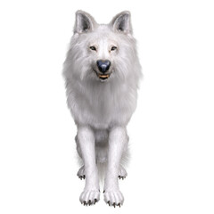 3D rendered white fantasy wolf isolated on transparent background