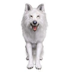3D rendered white fantasy wolf isolated on transparent background