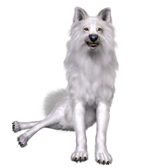 3D rendered white fantasy wolf isolated on transparent background