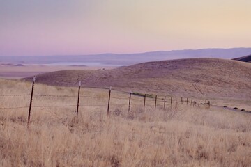 A barbed wire fence stretches across a golden, grassy hillside in Carrizo Plain National Monument,...