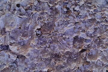 Cracked earth texture in Carrizo Plain National Monument, California, USA. The arid landscape shows the effects of drought and climate change, creating a unique and desolate environment.