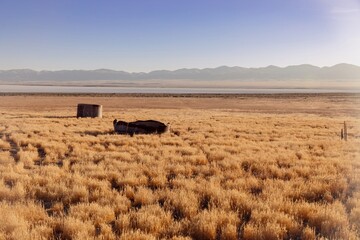 Dilapidated water tanks sit in a field of golden grass near a lake and mountains in the background,...