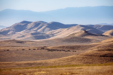 Rolling hills covered in dry grass, with mountains in the background, create a scenic landscape in...