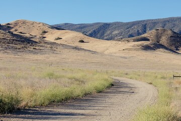A winding dirt road leads through a grassy field towards rolling hills in Carrizo Plain National Monument, California, USA. The landscape is dry and golden, suggesting a warm climate.