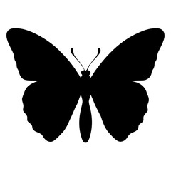 Abstract butterfly shape fluid curves vector for contemporary art installations fashion prints and avant-garde branding