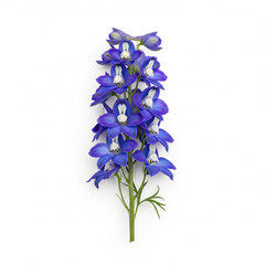 A feather-like plume shape created by arranging individual blue delphinium florets.