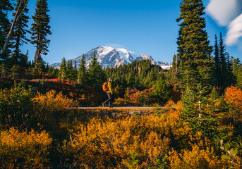 Men is hiking on Skyline Trail in Paradise Area, autumn colors in Mt. Rainier National Park	
