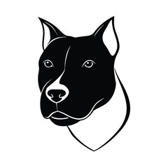 Close up headshot of a pit bull and american staffordshire terrier mix dog
