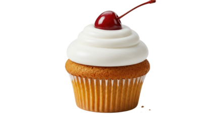 Vanilla Cupcake with Swirled Frosting and a Shiny Maraschino Cherry Topping