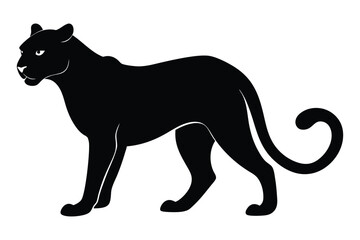 Fototapeta premium Silhouette of a cheetah crouching low and focused vector illustration.