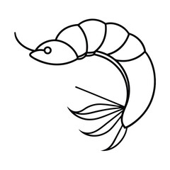 Detailed illustration of a shrimp with a wide fan shaped tail perfect for seafood menus culinary websites or marine biology publications