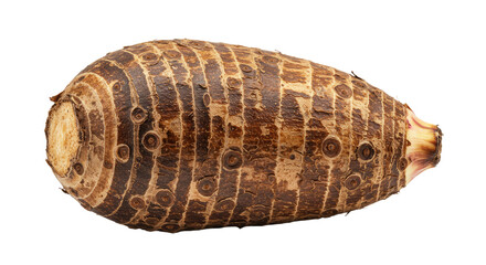 Closeup of a Brown Taro Root with Intricate Texture