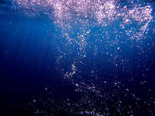Air bubbles underwater rising to water surface, natural scene, bubbles under water, bubble...