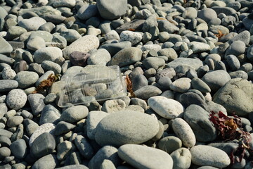 Discarded Plastic Waste on Coastal Stones