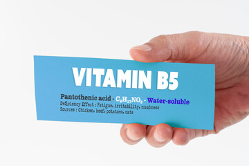 A hand holding a paper featuring key facts about Vitamin B5, including its scientific name,...