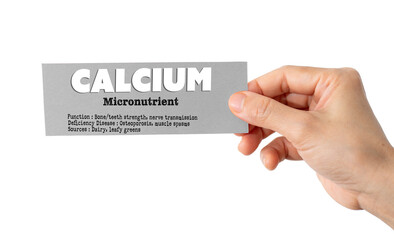 A hand holding a paper displaying key facts about calcium as an essential micronutrient for human...