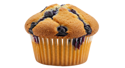 Delicious blueberry muffin with a golden crust and paper liner detail