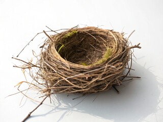 bird nest on white background