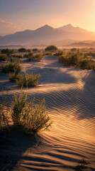 Beautiful sunset in desert with sand ripples, mountains in background, and lush vegetation creating serene atmosphere