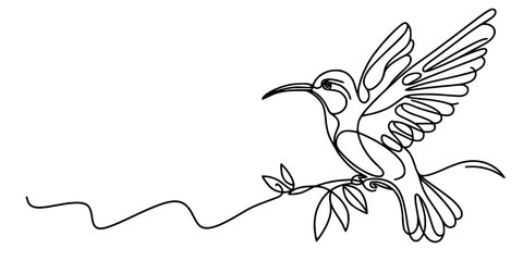 Whisper of Wings, A refined line illustration of a hummingbird resting peacefully