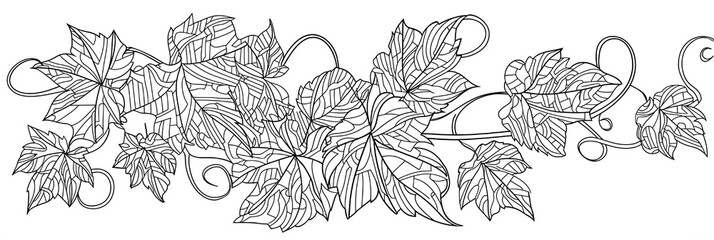 Fototapeta premium Leaf Pattern & Vine Design: Hand-Drawn Botanical Art for Nature Illustration and Elegant Floral Borders