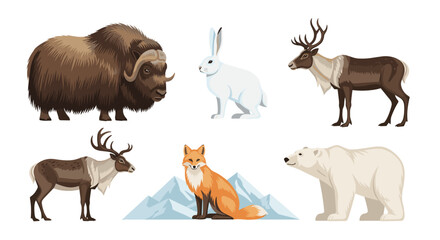 Obraz premium Illustration of arctic animals including muskox hare reindeer fox bear