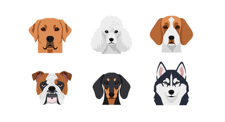 Fototapeta premium Illustration of six different dog breeds arranged on a white background