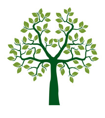 Shape of green Tree with Leaves and Roots. Vector outline Illustration.