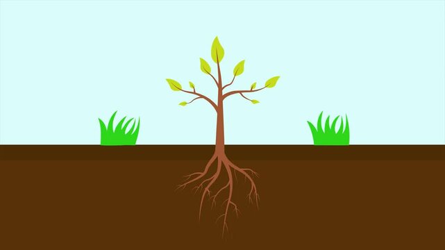 Tree Roots concept. Full length animation illustration. High quality&nbsp;4k&nbsp;footage