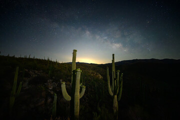 Desert Milky Way