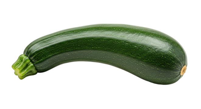 Fresh dark green zucchini with textured skin and a ribbed stem end