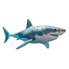 Fototapeta premium Great white shark isolated on white with powerful jaws, a grey predator of the ocean, swimming underwater