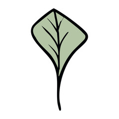 Green stylized leaf icon. Vector