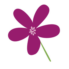 Five petal magenta flower. Vector
