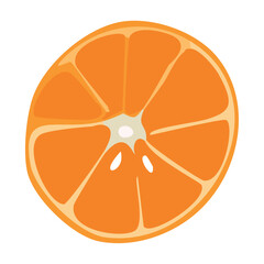 Orange slice with seeds. Vector