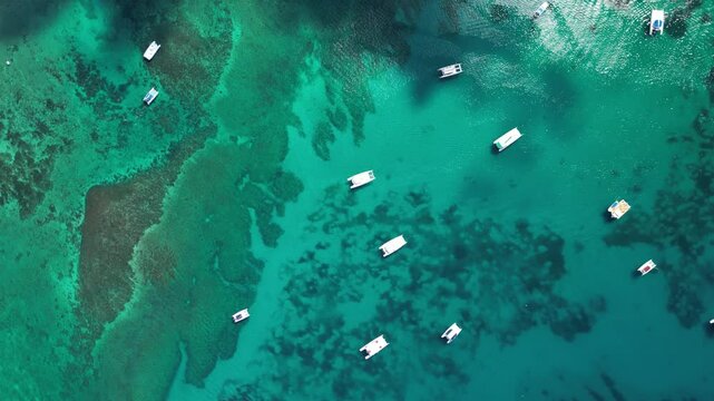 Epic view of tourists enjoying excursions and boat rides in the peaceful bay of Bayahibe, Dominican Republic. Perfect for travel and destination activities