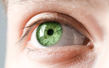 Fototapeta premium Closeup view of man with green eyes on grey background