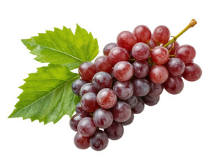 Fototapeta premium Fresh purple grapes with grape leaves and stems, plain white background,wine,sweet,green