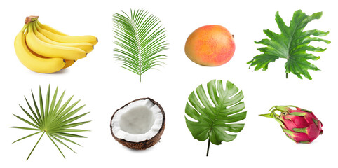 Tropical leaves and fruits isolated on white, set