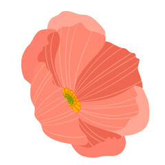 Peach Flower Isolated on White Illustration 