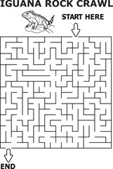 Iguana rock crawl maze fun kids activity game