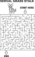 Serval cat maze grass stalk activity for kids