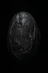 A dark cracked egg shaped object against a black background in a vertical close up studio shot